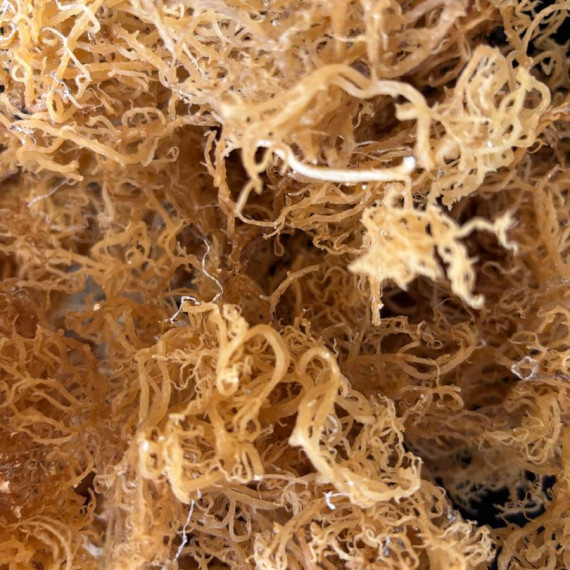 https://www.asiliseamoss.com/products/raw-sea-moss
